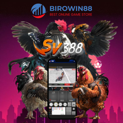 BIROWIN88 Daftar Sabung Ayam Link Terbaik Kualitas Live HD
